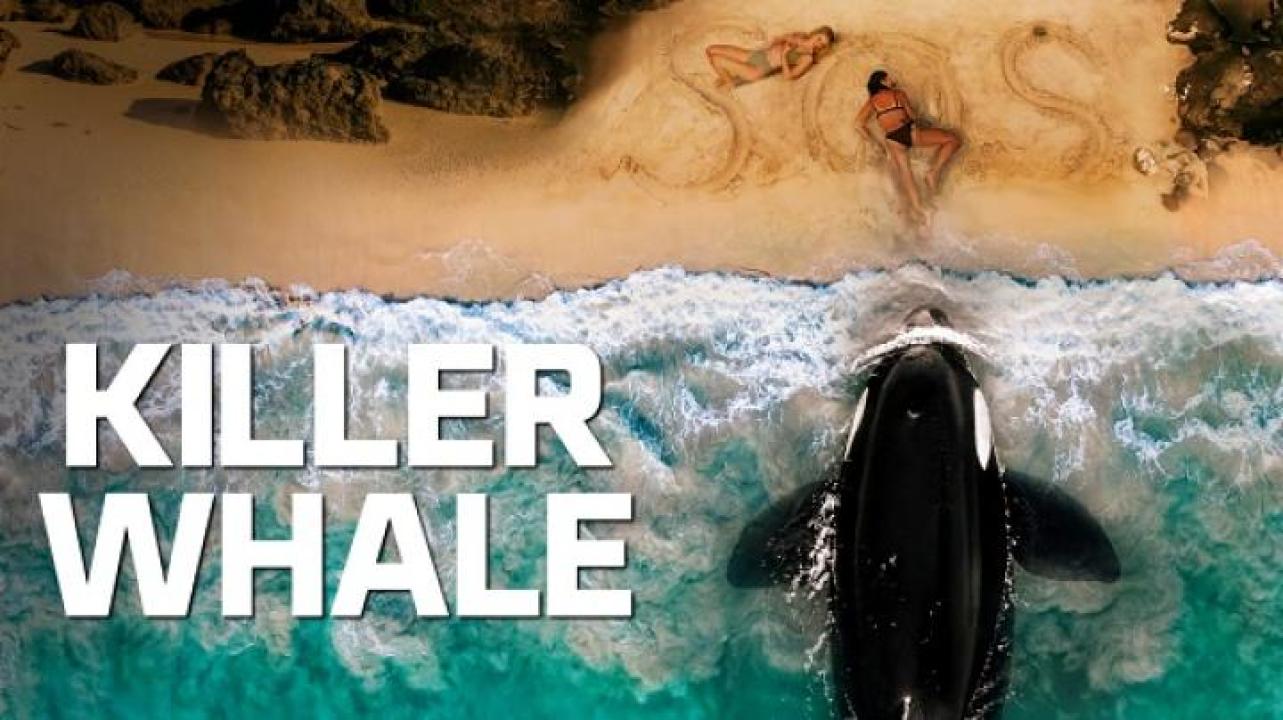 مشاهدة فيلم Killer Whale 2026 مترجم ايجي بست